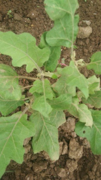 img20211113114635406